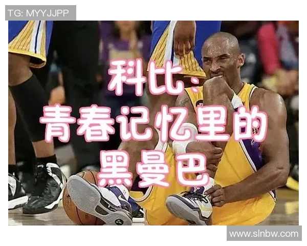 张庆鹏的篮球之路：从青涩少年到职业巨星的奋斗历程与心路历程