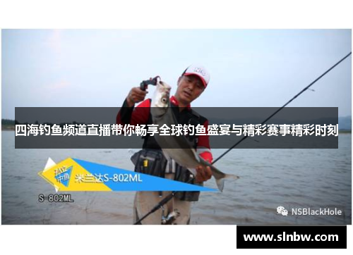 四海钓鱼频道直播带你畅享全球钓鱼盛宴与精彩赛事精彩时刻