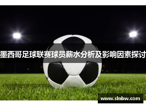 墨西哥足球联赛球员薪水分析及影响因素探讨