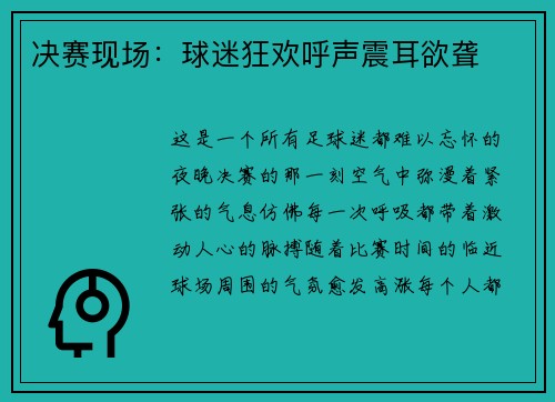 决赛现场：球迷狂欢呼声震耳欲聋